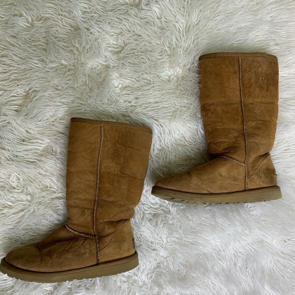 Chestnut ugg boots